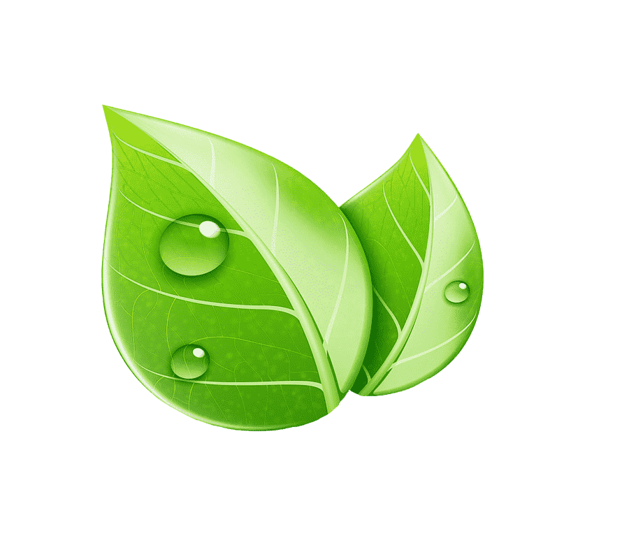 Строительство экологичного дома из чистых материалов Экологичный дом из натуральных материалов